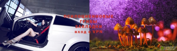 дурь Арсеньев