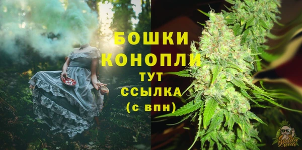дурь Арсеньев