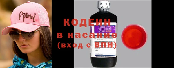 дурь Арсеньев